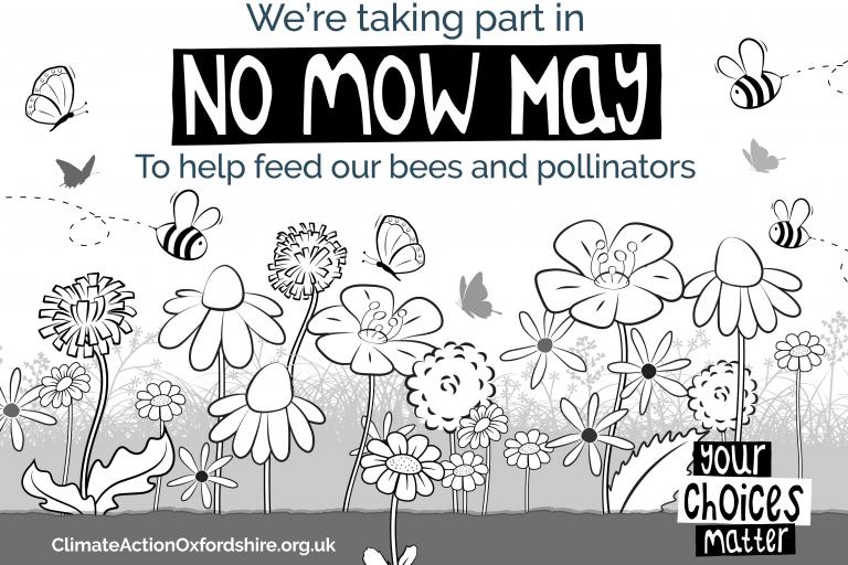 No Mow May Climate Action Oxfordshire